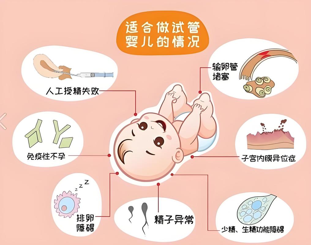 杭州试管婴儿科普干货 从检查到移植一篇看懂