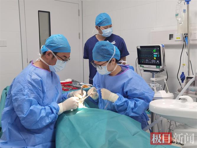 杭州90岁老人种牙行不行 医生说了大实话