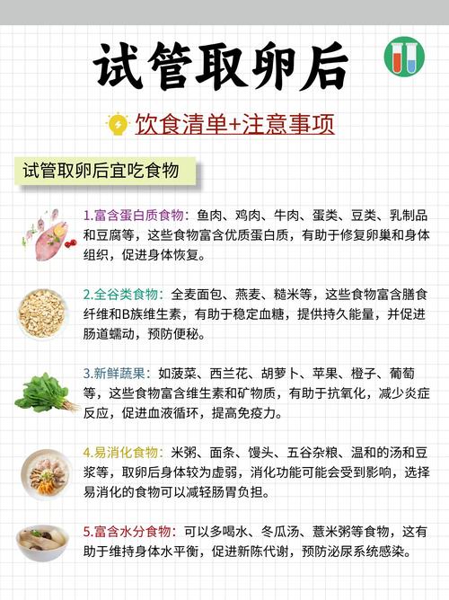 事项试管注意取卵后多久移植_试管取卵后注意事项_事项试管注意取卵后注意什么