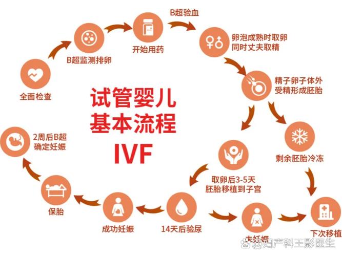 取卵操作_取卵流程_取卵操作流程