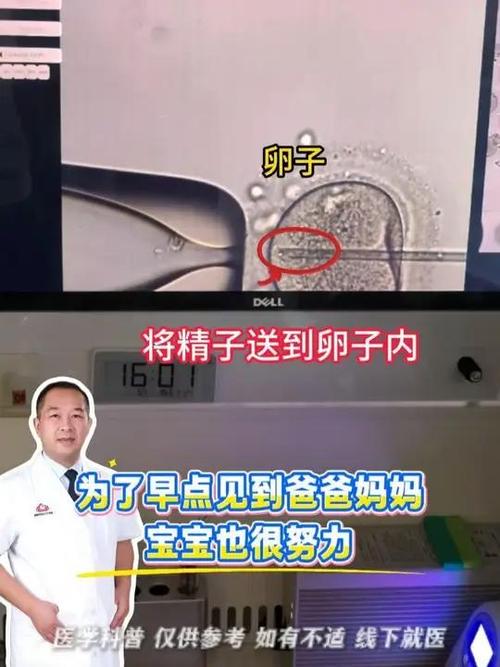 试管婴儿基本原理_试管操作的实验原理_二代试管原理