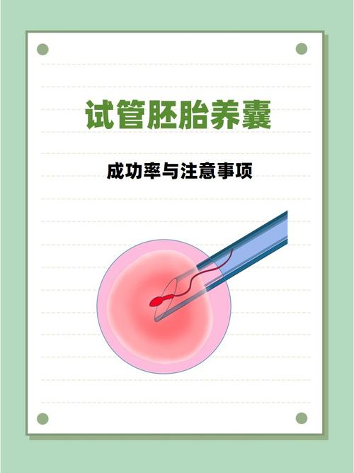 杭州囊胚培养是什么？试管成功的关键一步
