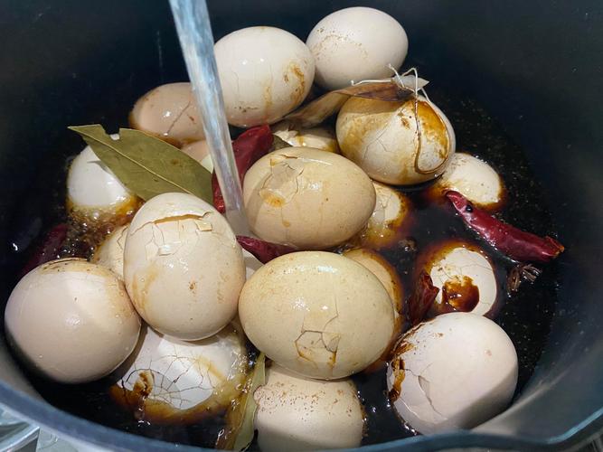 杭州试管术前调理必看：时间、饮食、运动、检查全解答