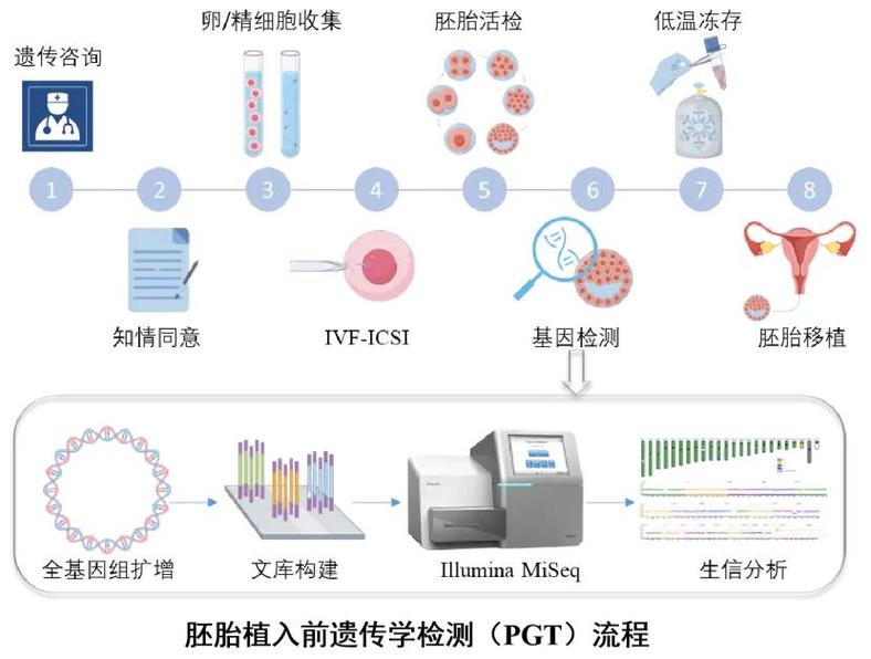 杭州三代试管筛查项目有哪些 能查什么病