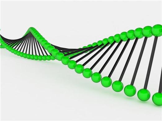 杭州三代试管可以筛选基因吗？能查哪些遗传病、具体咋筛讲明白